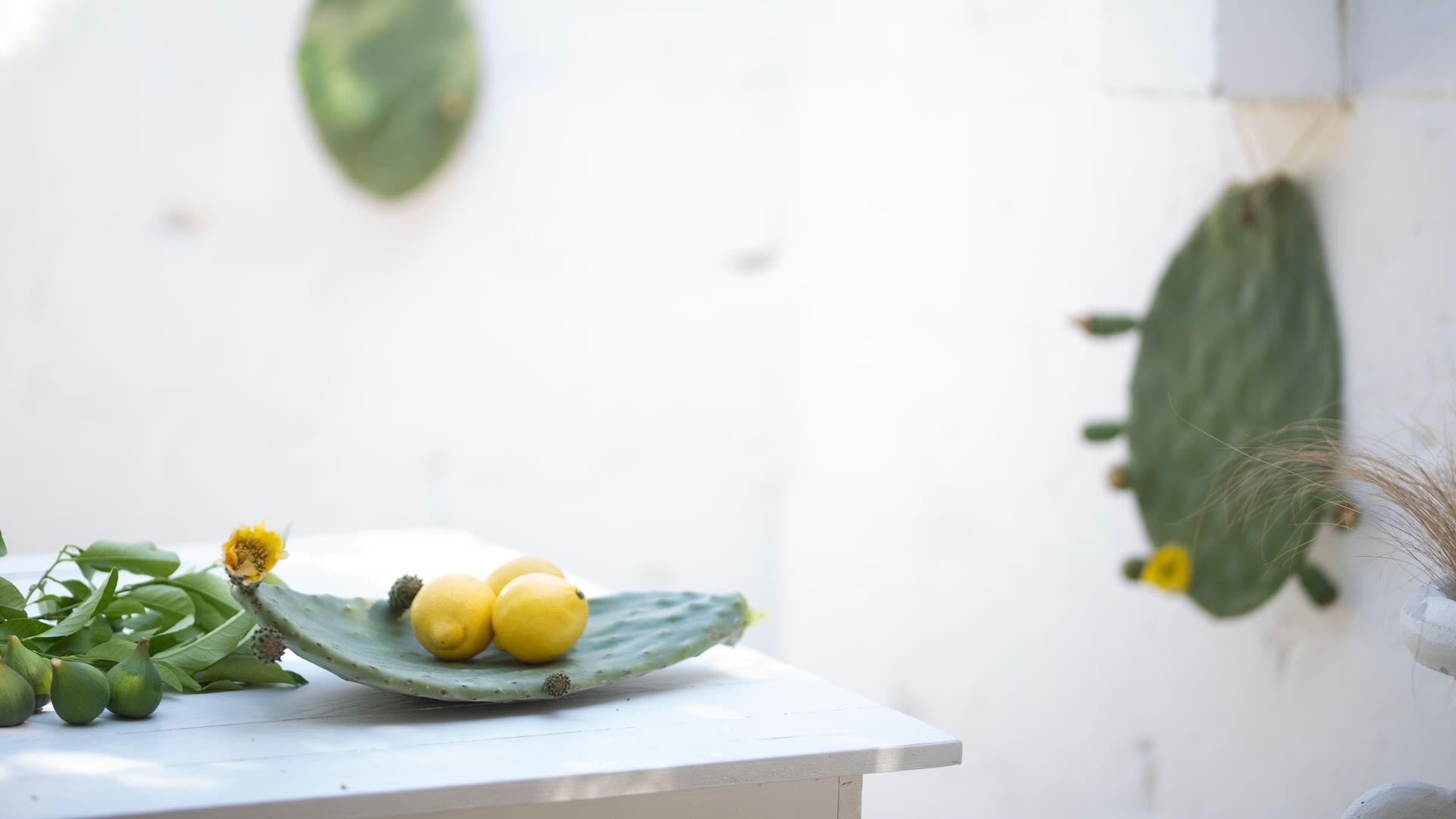 Dettaglio con limoni e fichi d'India