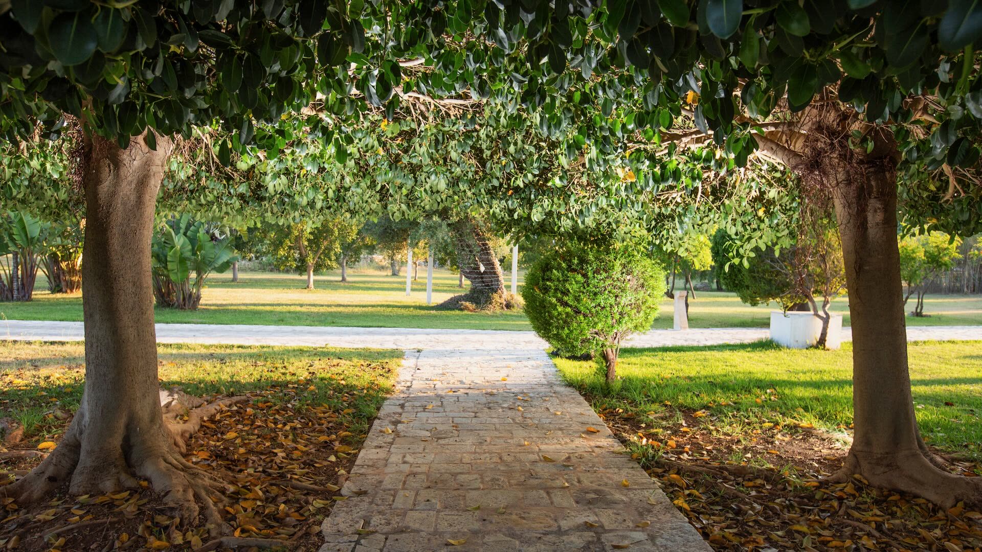 Casale del Murgese 11